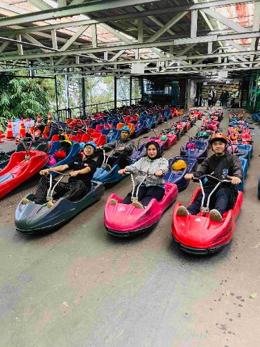 Luge Kart